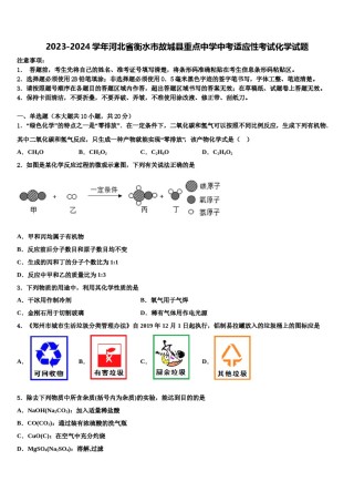 2023-2024学年河北省衡水市故城县重点中学中考适应性考试化学试题含解析.doc