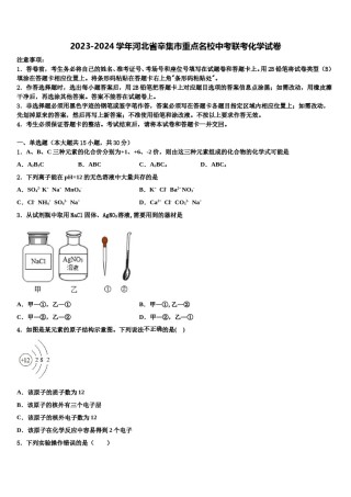 2023-2024学年河北省辛集市重点名校中考联考化学试卷含解析.doc