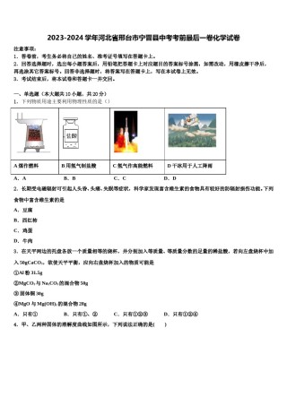2023-2024学年河北省邢台市宁晋县中考考前最后一卷化学试卷含解析.doc
