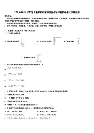 2023-2024学年河北省邯郸市馆陶县重点达标名校中考化学押题卷含解析.doc