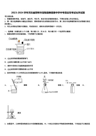 2023-2024学年河北省邯郸市馆陶县魏僧寨中学中考适应性考试化学试题含解析.doc