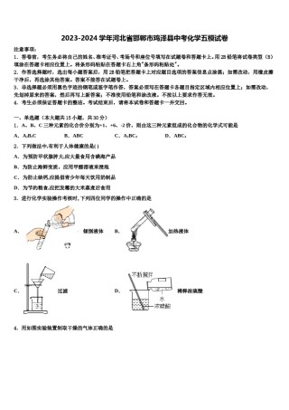 2023-2024学年河北省邯郸市鸡泽县中考化学五模试卷含解析.doc
