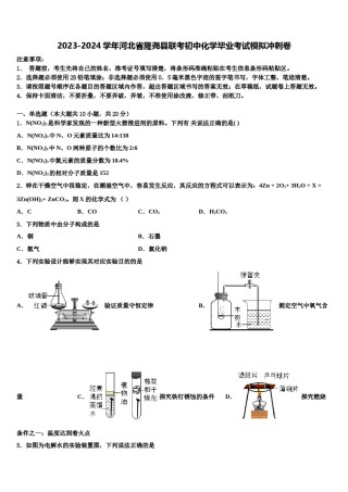 2023-2024学年河北省隆尧县联考初中化学毕业考试模拟冲刺卷含解析.doc