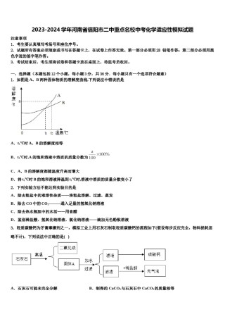 2023-2024学年河南省信阳市二中重点名校中考化学适应性模拟试题含解析.doc