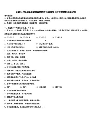 2023-2024学年河南省信阳罗山县联考十校联考最后化学试题含解析.doc