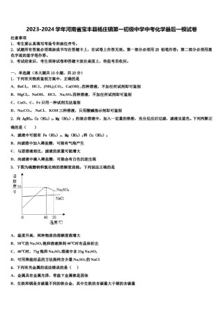 2023-2024学年河南省宝丰县杨庄镇第一初级中学中考化学最后一模试卷含解析.doc