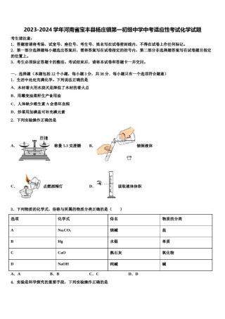 2023-2024学年河南省宝丰县杨庄镇第一初级中学中考适应性考试化学试题含解析.doc