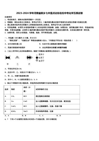 2023-2024学年河南省新乡七中重点达标名校中考化学五模试卷含解析.doc