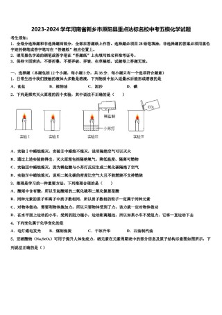 2023-2024学年河南省新乡市原阳县重点达标名校中考五模化学试题含解析.doc