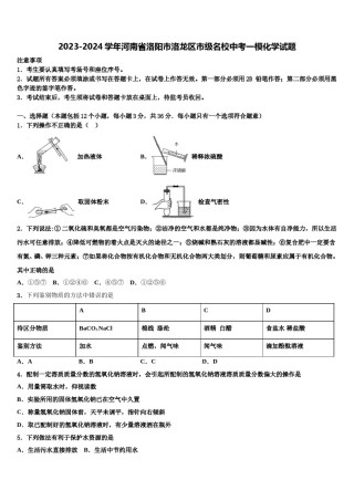 2023-2024学年河南省洛阳市洛龙区市级名校中考一模化学试题含解析.doc