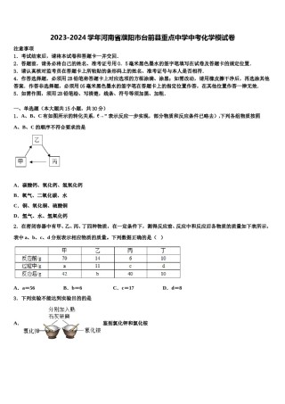 2023-2024学年河南省濮阳市台前县重点中学中考化学模试卷含解析.doc