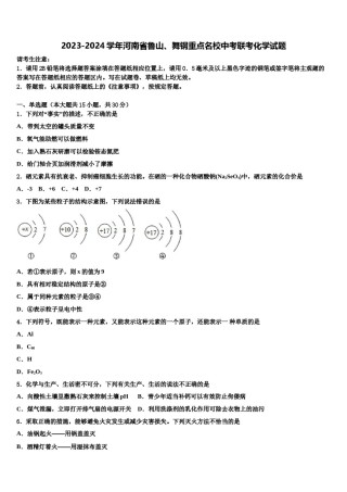 2023-2024学年河南省鲁山、舞钢重点名校中考联考化学试题含解析.doc