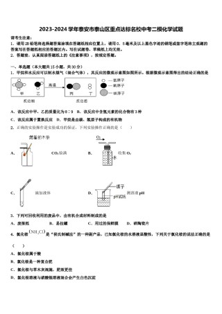 2023-2024学年泰安市泰山区重点达标名校中考二模化学试题含解析.doc