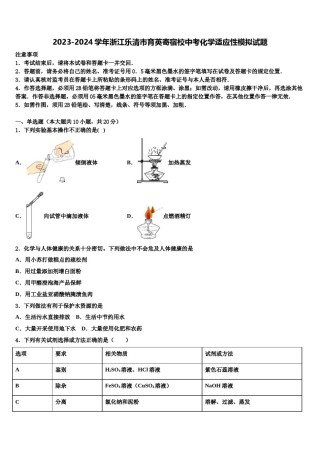 2023-2024学年浙江乐清市育英寄宿校中考化学适应性模拟试题含解析.doc