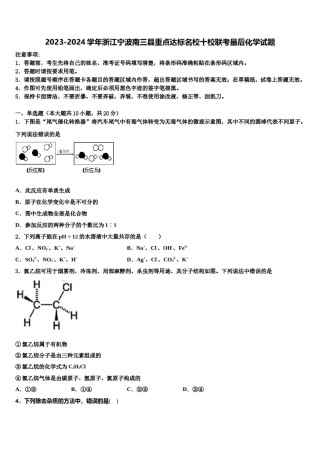 2023-2024学年浙江宁波南三县重点达标名校十校联考最后化学试题含解析.doc