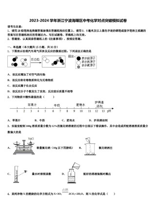 2023-2024学年浙江宁波海曙区中考化学对点突破模拟试卷含解析.doc