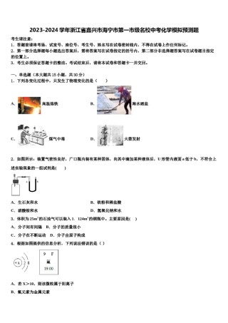 2023-2024学年浙江省嘉兴市海宁市第一市级名校中考化学模拟预测题含解析.doc