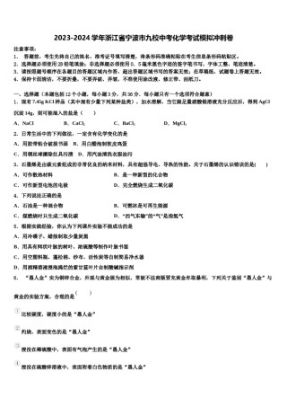 2023-2024学年浙江省宁波市九校中考化学考试模拟冲刺卷含解析.doc
