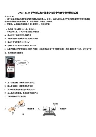 2023-2024学年浙江省宁波市宁海县中考化学模拟精编试卷含解析.doc