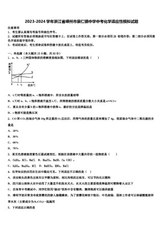 2023-2024学年浙江省嵊州市崇仁镇中学中考化学适应性模拟试题含解析.doc