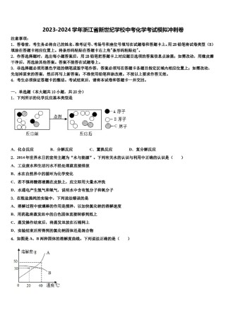 2023-2024学年浙江省新世纪学校中考化学考试模拟冲刺卷含解析.doc