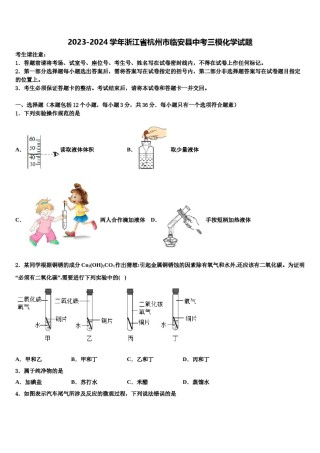 2023-2024学年浙江省杭州市临安县中考三模化学试题含解析.doc