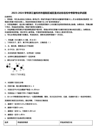 2023-2024学年浙江省杭州市富阳区城区重点达标名校中考联考化学试题含解析.doc