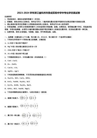 2023-2024学年浙江省杭州市景成实验中学中考化学仿真试卷含解析.doc