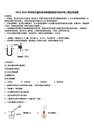 2023-2024学年浙江省杭州市西湖区新东方校中考二模化学试题含解析.doc