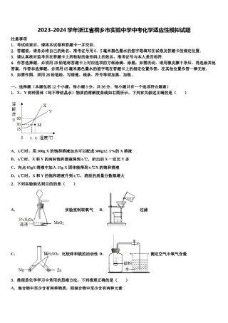 2023-2024学年浙江省桐乡市实验中学中考化学适应性模拟试题含解析.doc