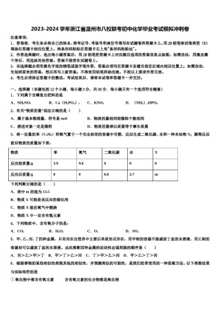 2023-2024学年浙江省温州市八校联考初中化学毕业考试模拟冲刺卷含解析.doc