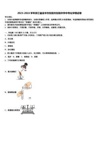 2023-2024学年浙江省金华市东阳市东阳中学中考化学模试卷含解析.doc