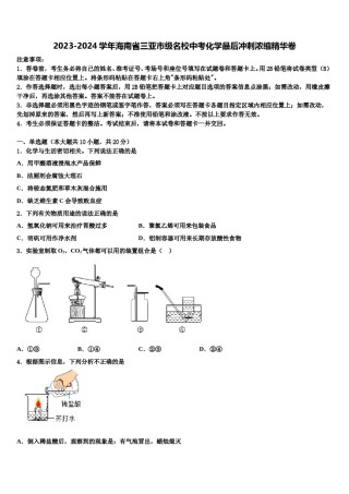 2023-2024学年海南省三亚市级名校中考化学最后冲刺浓缩精华卷含解析.doc