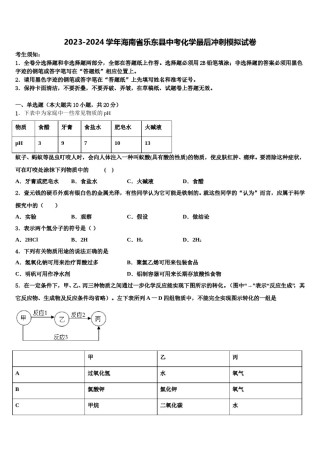 2023-2024学年海南省乐东县中考化学最后冲刺模拟试卷含解析.doc