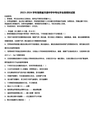 2023-2024学年海南省洋浦中学中考化学全真模拟试题含解析.doc