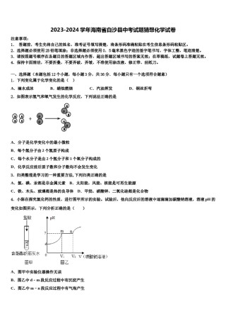 2023-2024学年海南省白沙县中考试题猜想化学试卷含解析.doc