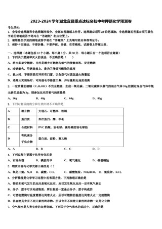2023-2024学年湖北宜昌重点达标名校中考押题化学预测卷含解析.doc