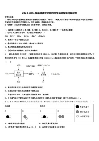 2023-2024学年湖北宣恩椒园中考化学模拟精编试卷含解析.doc