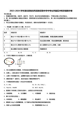 2023-2024学年湖北恩施龙凤民族初级中学中考化学最后冲刺浓缩精华卷含解析.doc