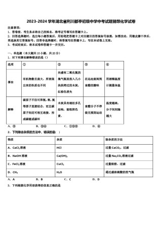 2023-2024学年湖北省利川都亭初级中学中考试题猜想化学试卷含解析.doc