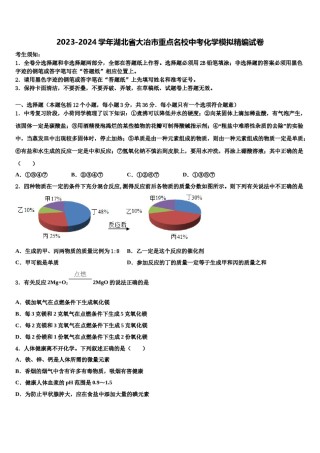 2023-2024学年湖北省大冶市重点名校中考化学模拟精编试卷含解析.doc