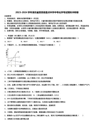 2023-2024学年湖北省宣恩县重点中学中考化学考试模拟冲刺卷含解析.doc