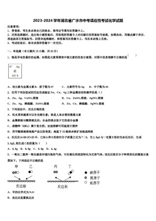 2023-2024学年湖北省广水市中考适应性考试化学试题含解析.doc
