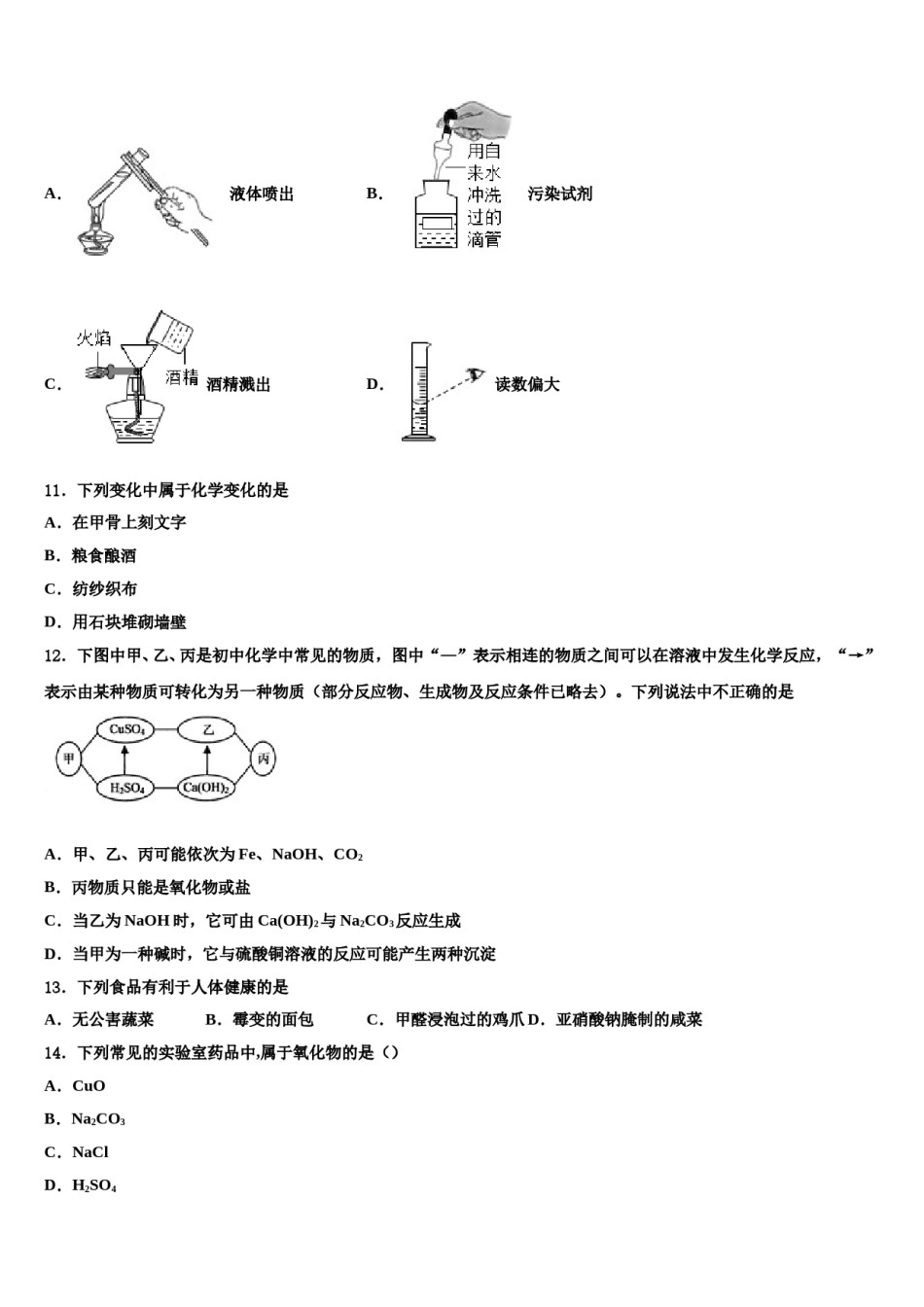 2023-2024学年湖北省恩施土家族苗族自治州文斗民族初级中学中考联考化学试卷含解析.doc_第3页