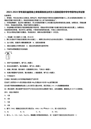 2023-2024学年湖北省恩施土家族苗族自治州文斗民族初级中学中考联考化学试卷含解析.doc