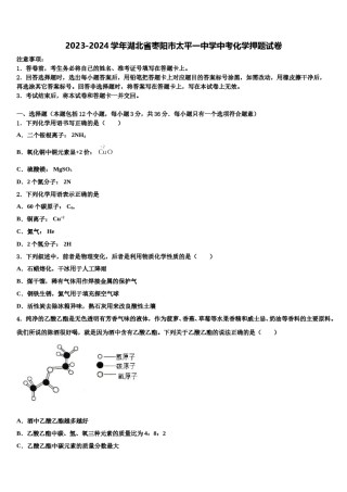 2023-2024学年湖北省枣阳市太平一中学中考化学押题试卷含解析.doc