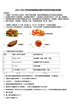 2023-2024学年湖北省枣阳市第五中学中考五模化学试题含解析.doc