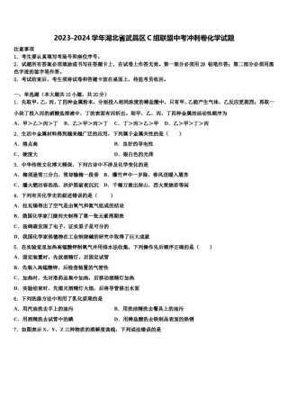 2023-2024学年湖北省武昌区C组联盟中考冲刺卷化学试题含解析.doc