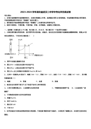 2023-2024学年湖北省武汉二中学中考化学仿真试卷含解析.doc