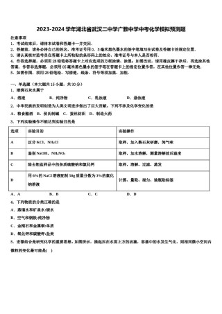 2023-2024学年湖北省武汉二中学广雅中学中考化学模拟预测题含解析.doc